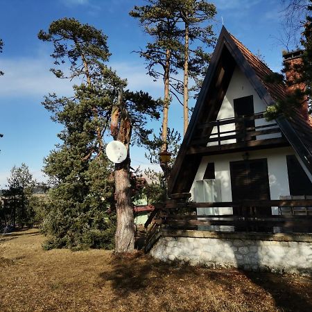 Apartmán Vila Jovanovic Zlatibor Exteriér fotografie