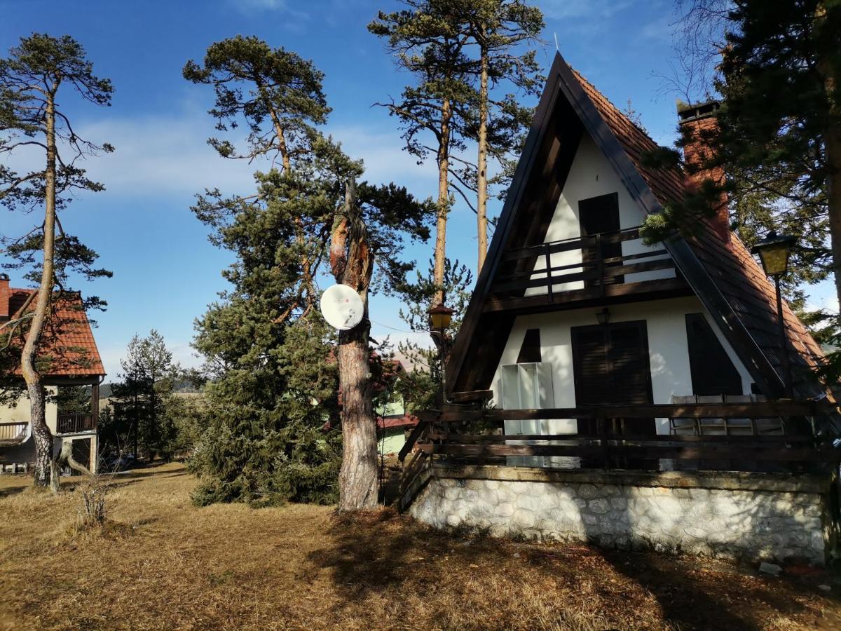 Apartmán Vila Jovanovic Zlatibor Exteriér fotografie