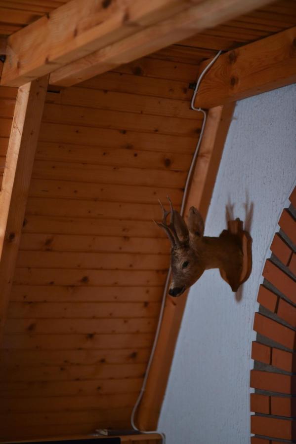 Apartmán Vila Jovanovic Zlatibor Exteriér fotografie